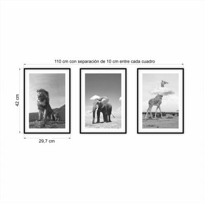 SET 3 CUADROS ANIMALES BYN MEDIANOS